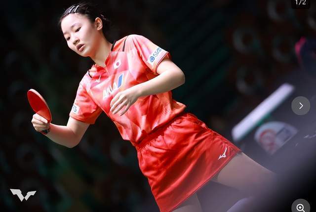 会加大在转 会加大在转