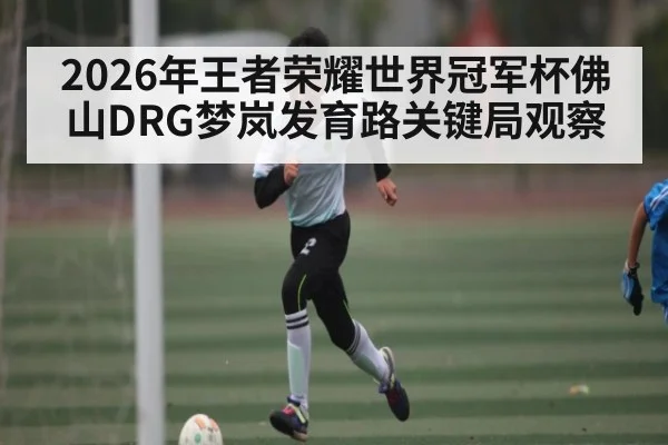 2026年王者荣耀世界冠军杯佛山DRG梦岚发育路关键局观察